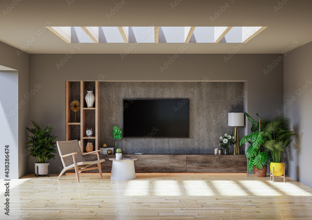 现代极简主义室内实体柜电视墙安装在水泥房内，水泥墙。