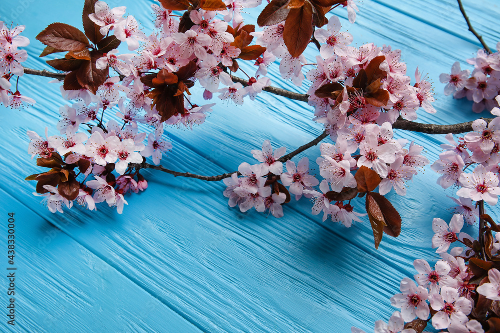 彩色木质背景上美丽的开花树枝