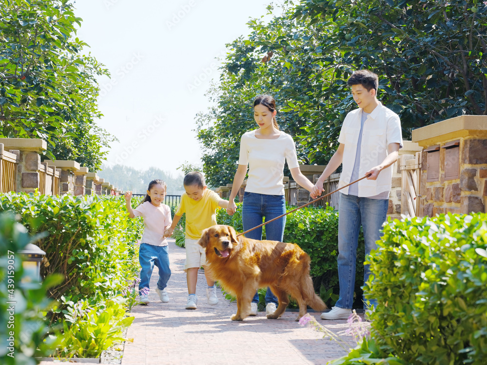 Happy family of four walking dogs outdoors