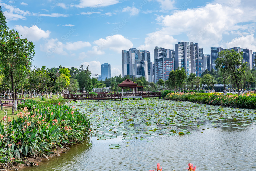 中国广州南沙自由贸易区蕉门公园