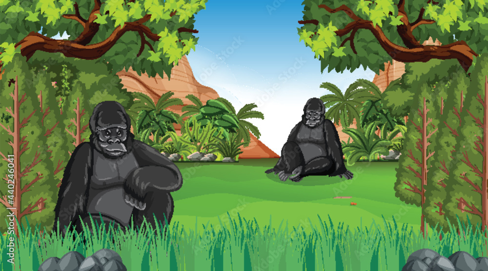 大猩猩在森林或热带雨林中，有很多树
