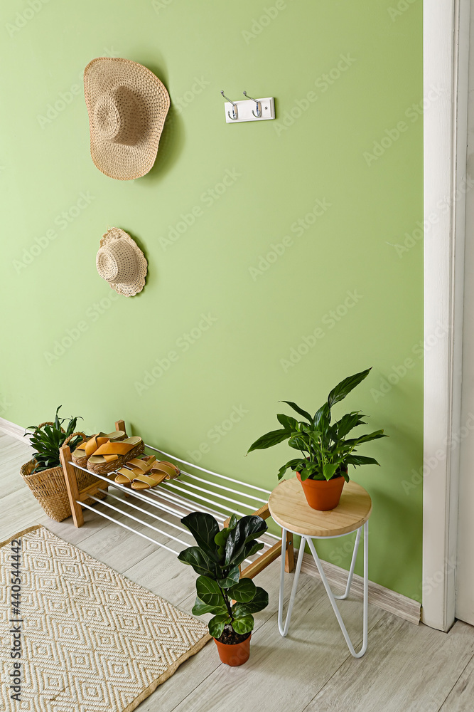 站着，鞋子、室内植物和帽子挂在房间的彩色墙上