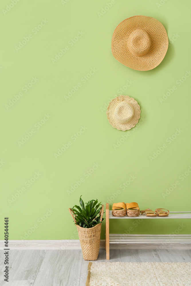 室内彩色墙上挂着鞋子、室内植物和帽子