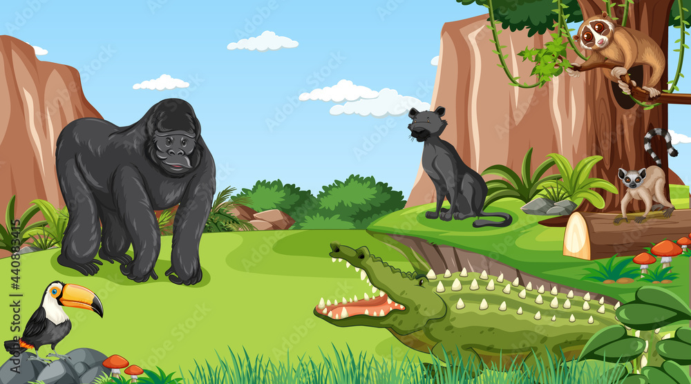 大猩猩与其他野生动物在森林或雨林场景中