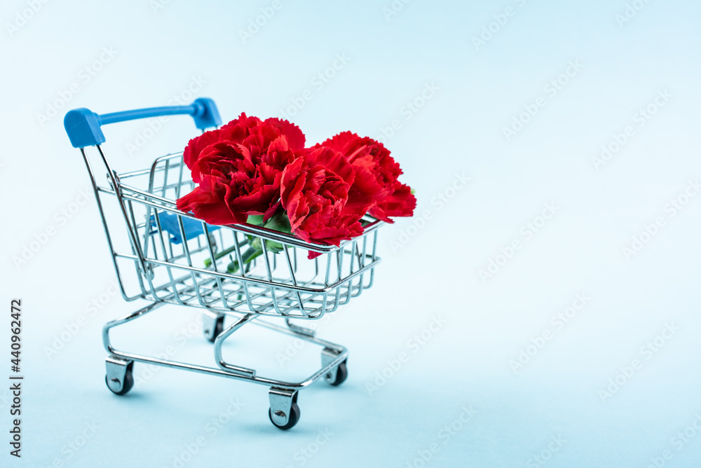 Carnation flowers and shopping cart