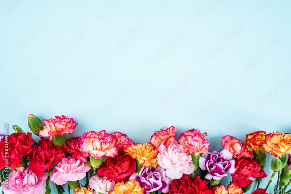 美丽多彩的康乃馨花朵海报
