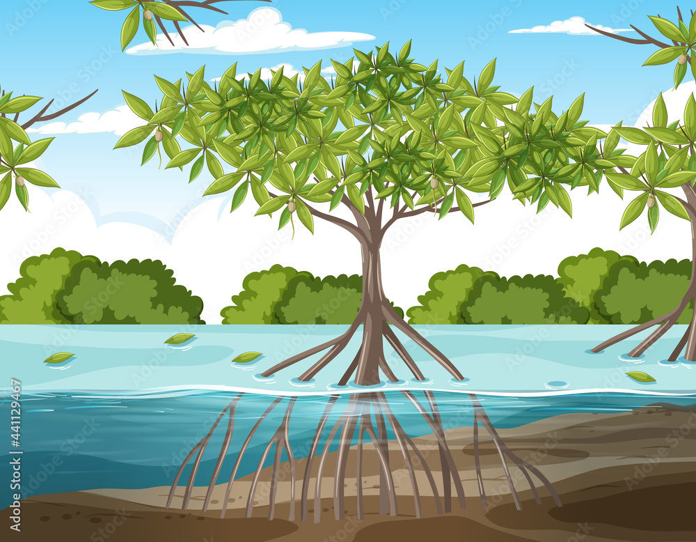 Nature scene with mangrove forest and roots of mangrove tree in the water