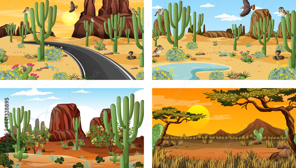 四种不同的动植物沙漠森林景观