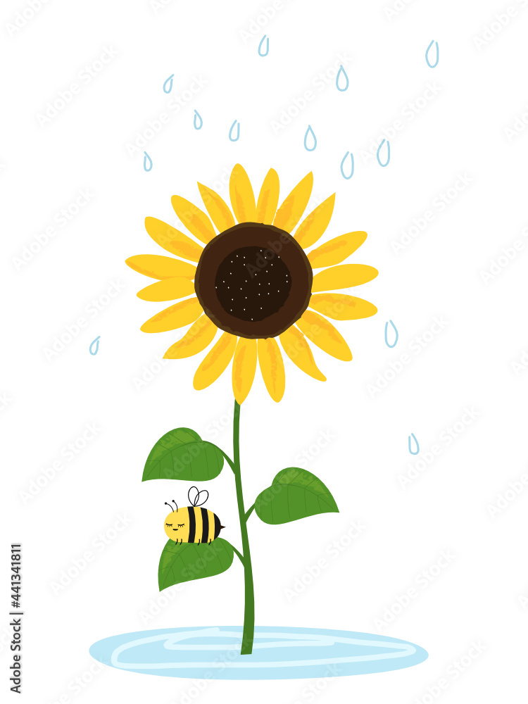 向日葵、蜜蜂卡通和白色背景上的雨滴矢量插图。