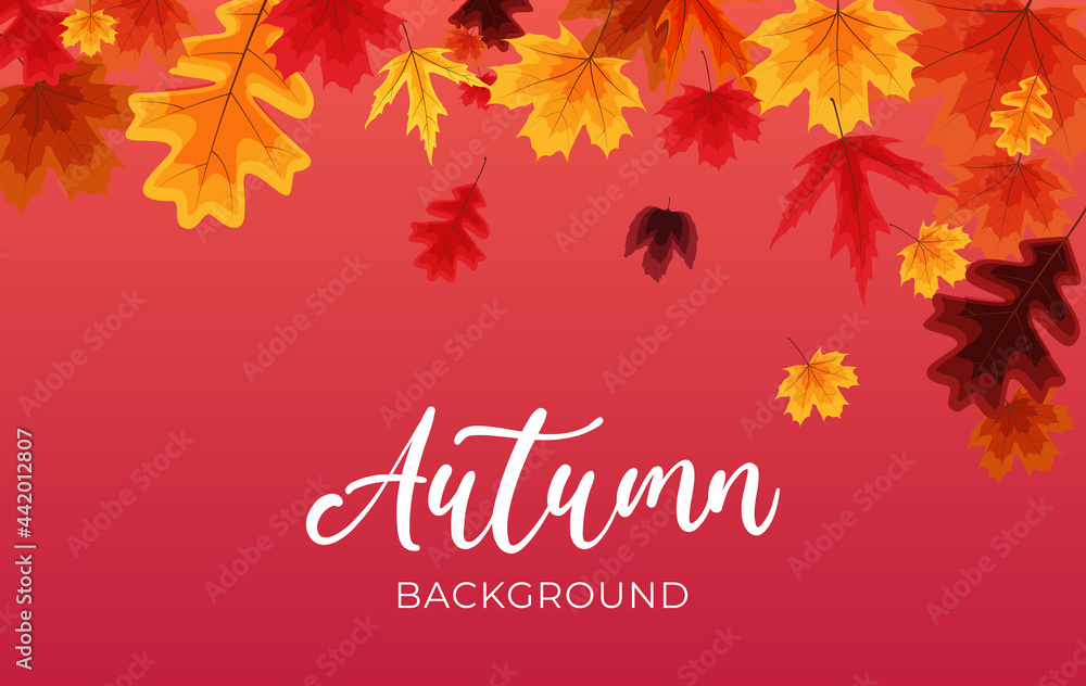 秋天的落叶背景。矢量插图