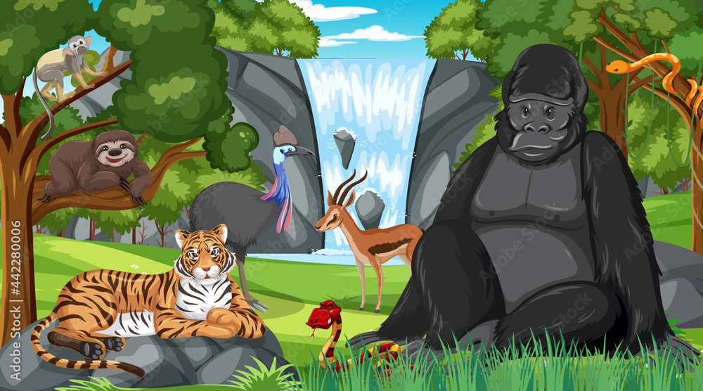 大猩猩和其他野生动物在森林或雨林场景中