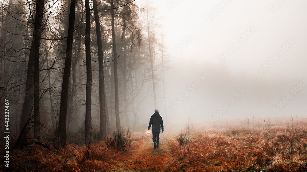 一名男子在薄雾笼罩的树林中行走手机壁纸