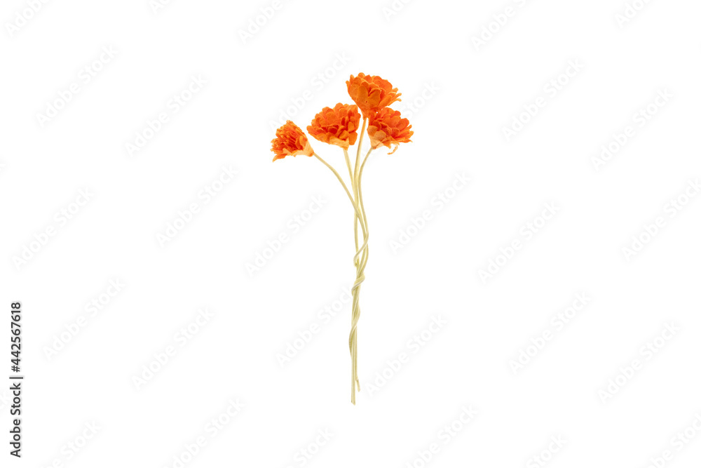 用于剪贴簿的橙色纸花花束，在白色背景上隔离。剪贴簿元素