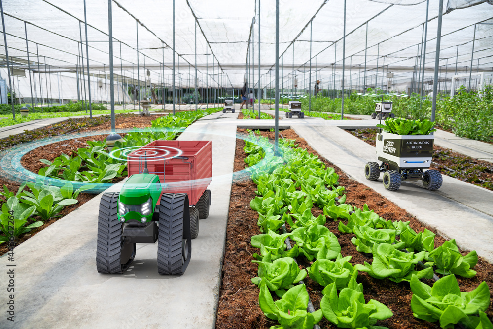 在菜场工作的无人驾驶小型拖拉机，智能农业的未来5G技术