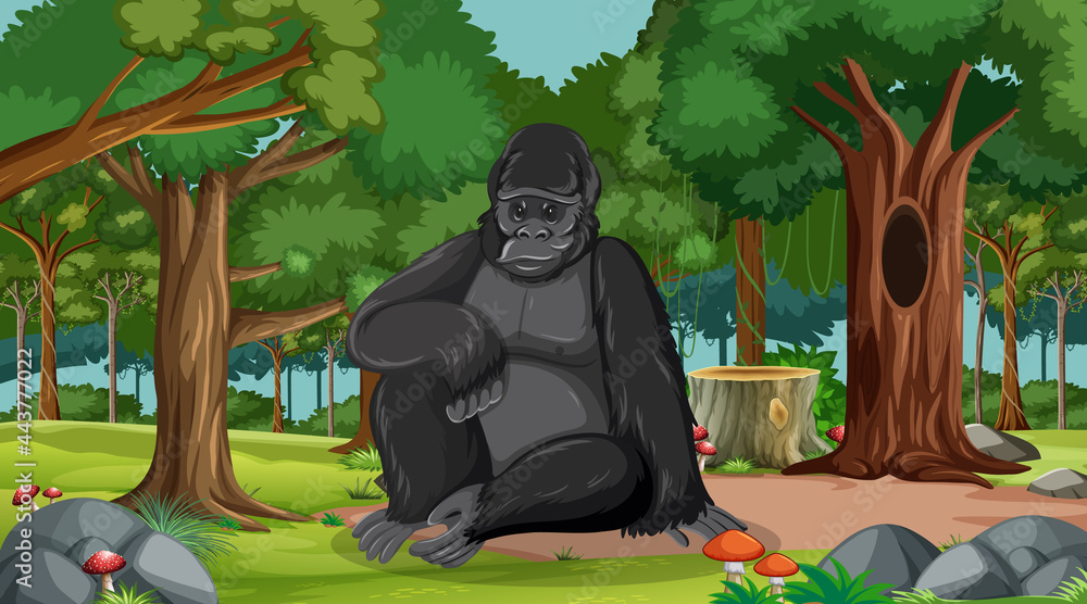 大猩猩在森林或雨林中，有很多树
