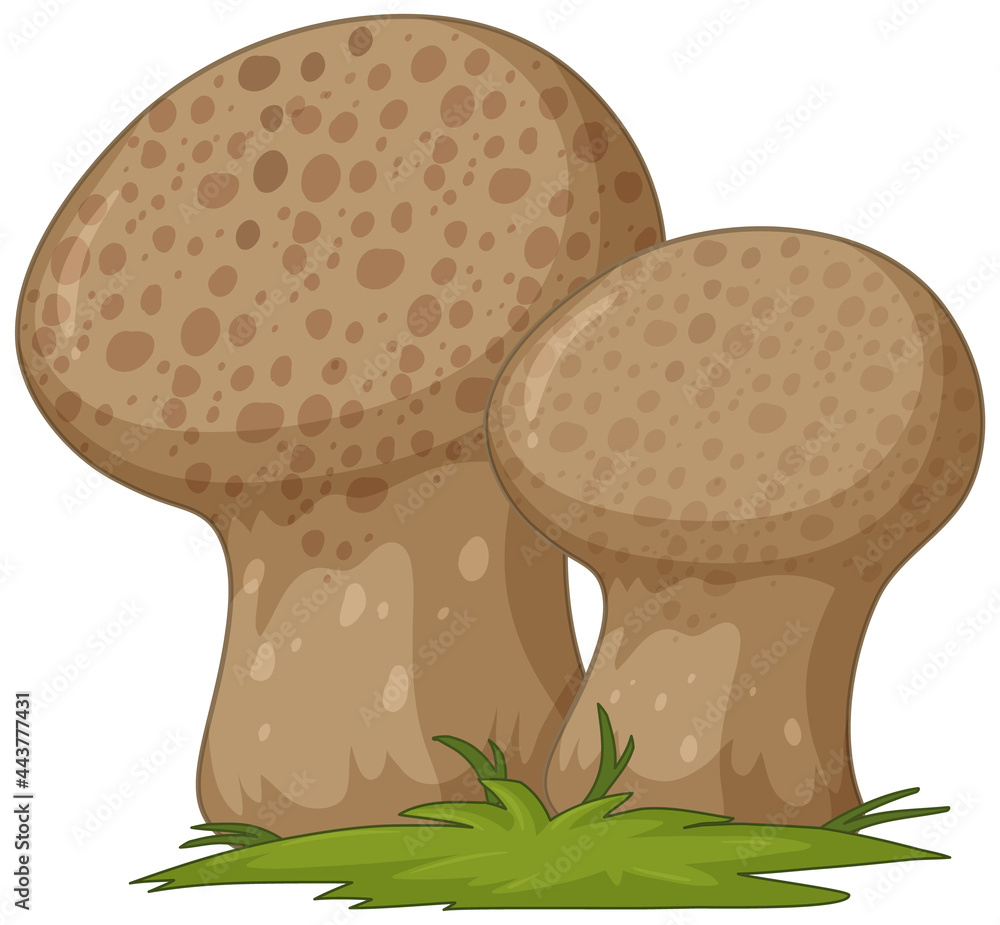 白色背景上孤立的真菌卡通风格