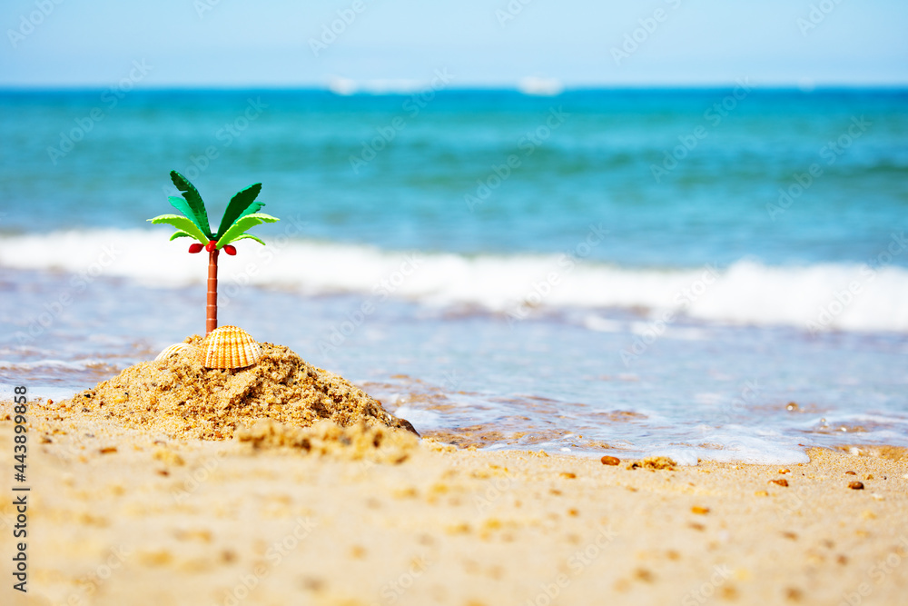 沙滩上的沙岛和棕榈树特写