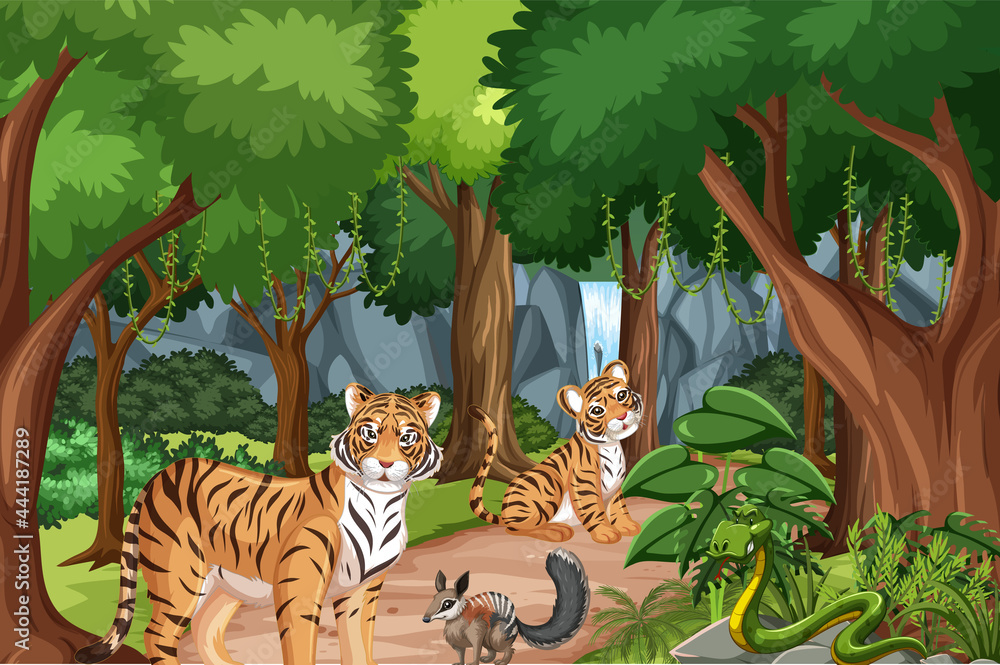 森林或雨林中老虎家族的场景
