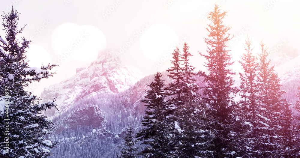 冬季风景景观图片，亮点山和雪覆盖的冷杉树