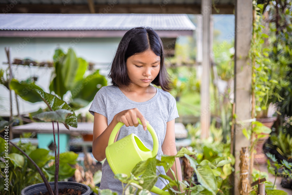 亚洲小女孩正在花园里给花盆里的植物浇水