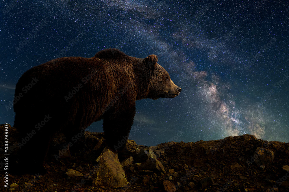 熊和银河系的美丽夜景