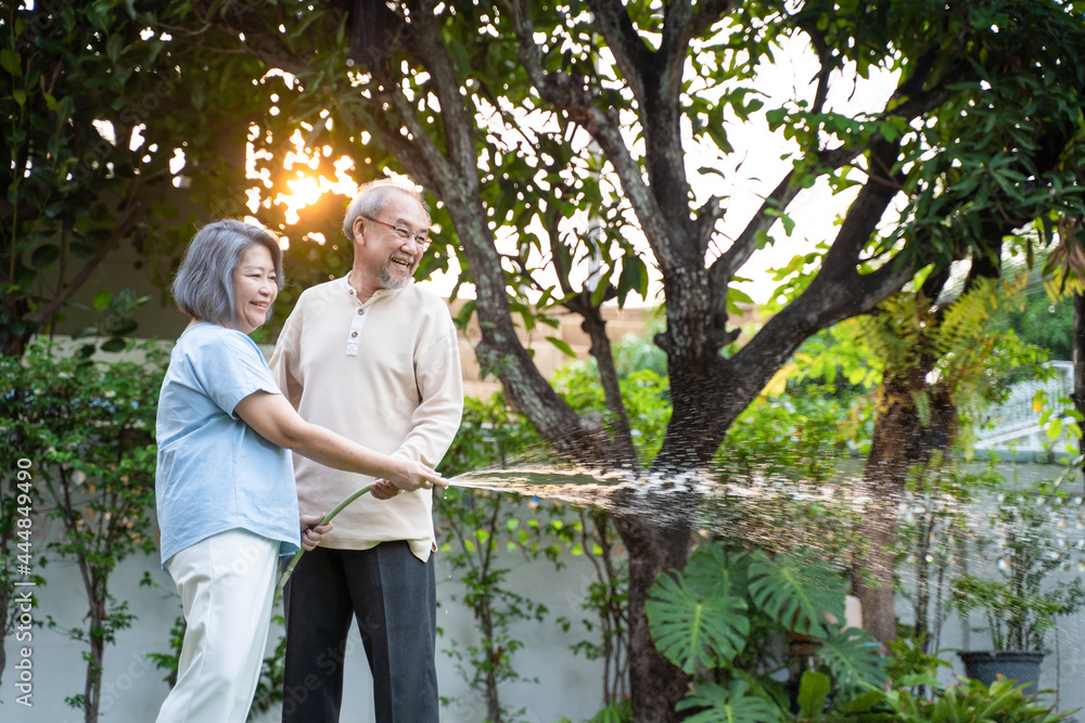Asian Senior couple spending time outdoor gardening together at home. 