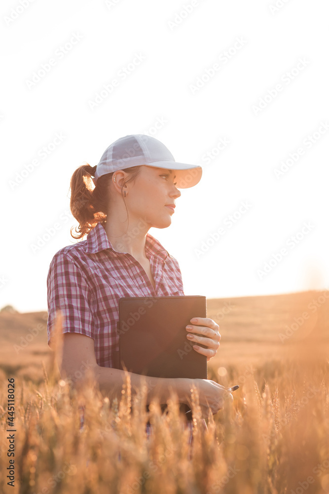 年轻的女农民在阳光下的麦田里工作。商业女性在田里计划她的收入。
