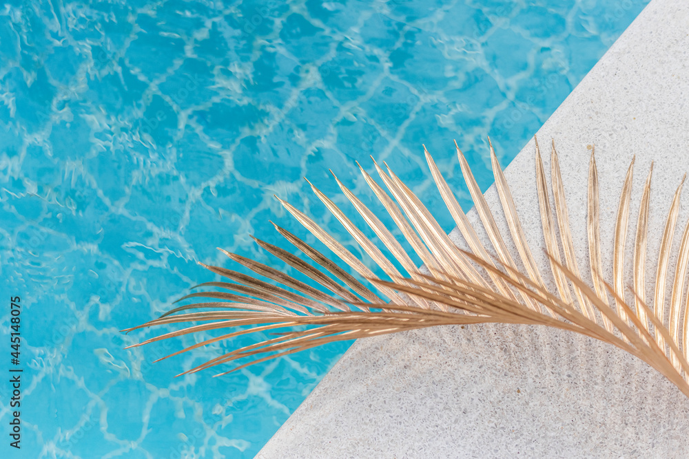 阳光明媚的日子里，带有棕榈叶的蓝色泳池水纹理