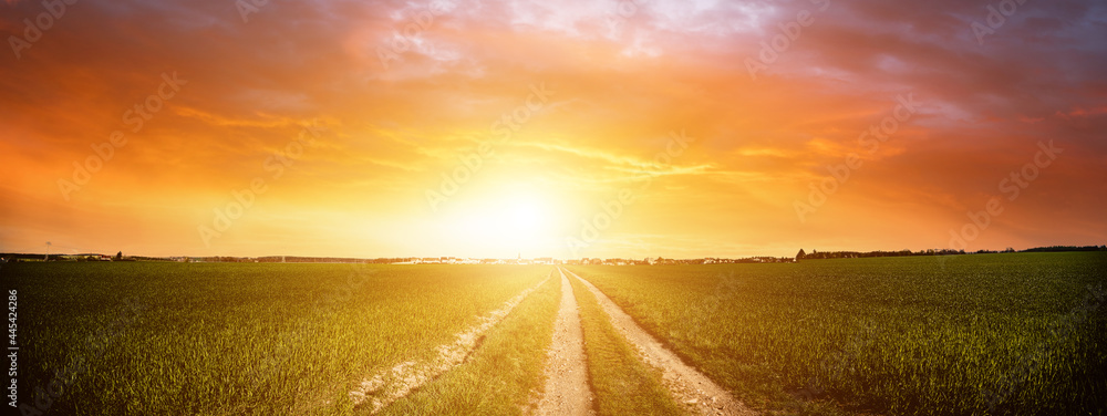 泥土路和日落天空的绿色田野全景。夏季乡村景观日出