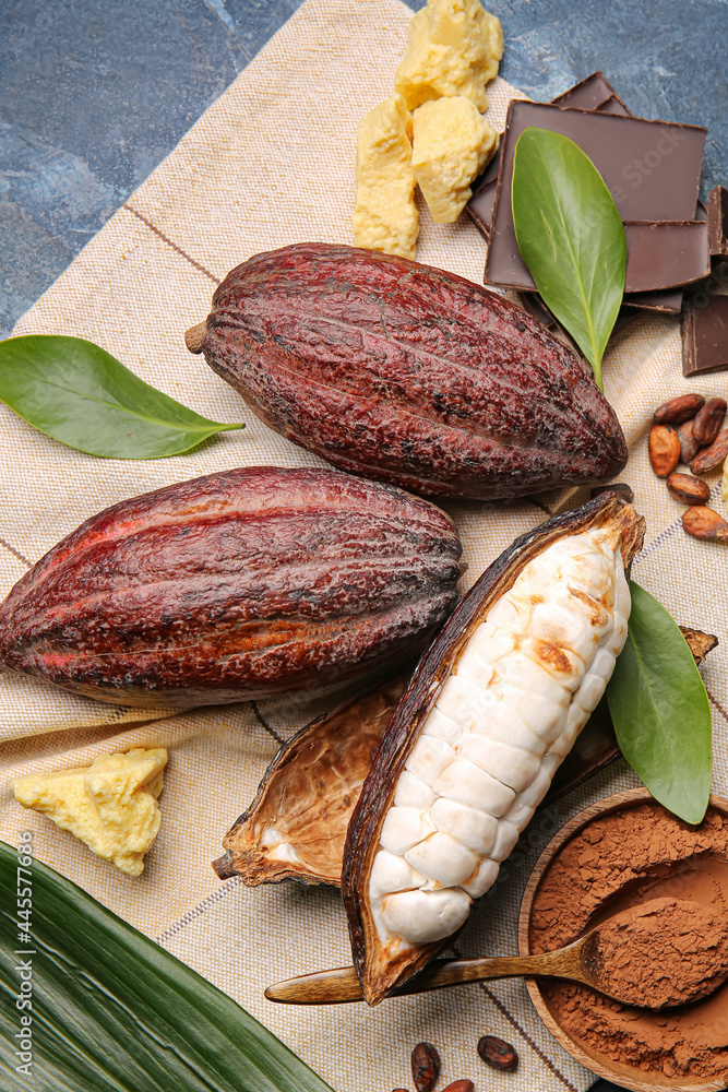 Fresh cocoa fruits, powder, butter and chocolate on color background
