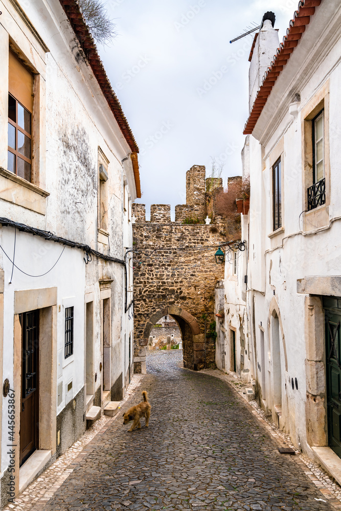 葡萄牙埃斯特雷莫兹老城的街道