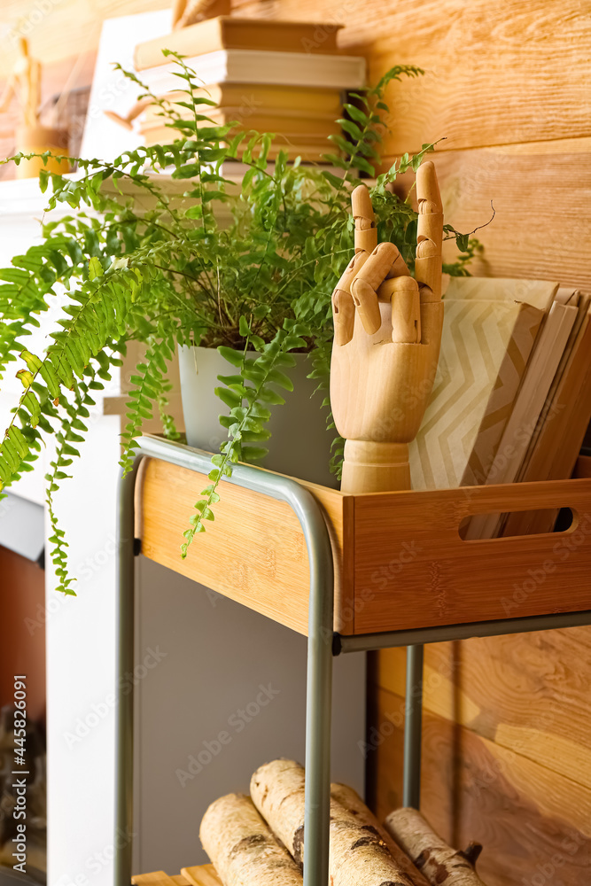 木制手、书籍和室内植物架单元