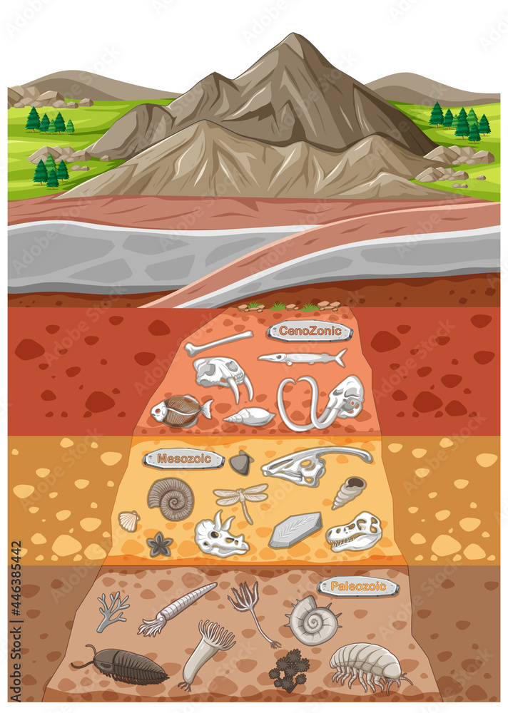 土层中有各种动物骨骼和恐龙化石的场景