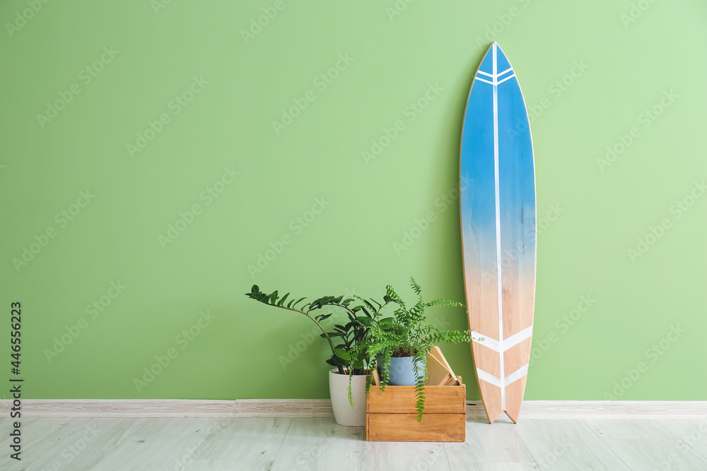 彩色墙附近的冲浪板和室内植物