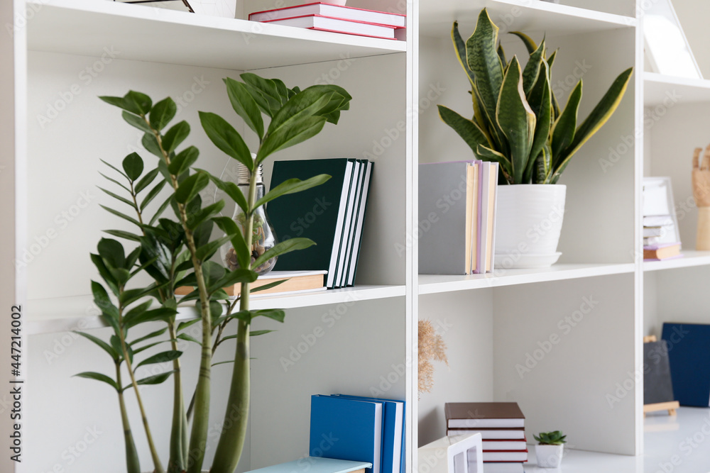 带书籍和室内植物的书架单元，特写
