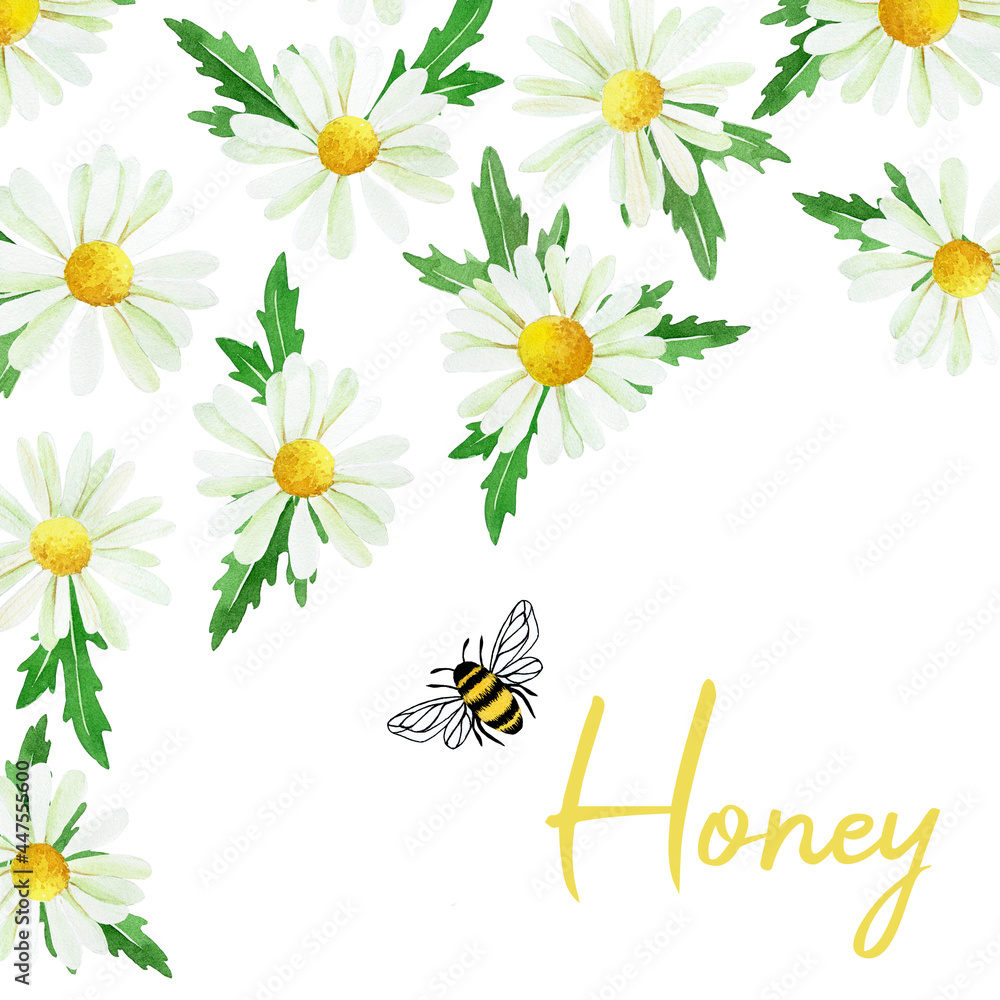 以养蜂、蜜蜂、蜂蜜、可爱的蜜蜂和洋甘菊为主题的水彩画、明信片、海报