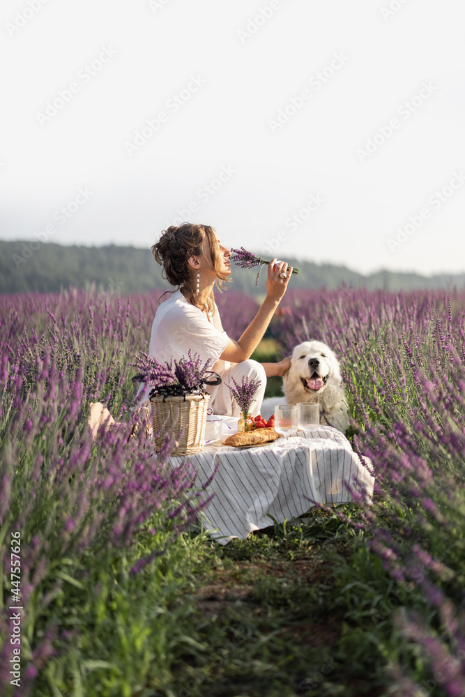 一位年轻的女士和狗在薰衣草地上野餐，薰衣草地上有一束紫罗兰花。美丽而