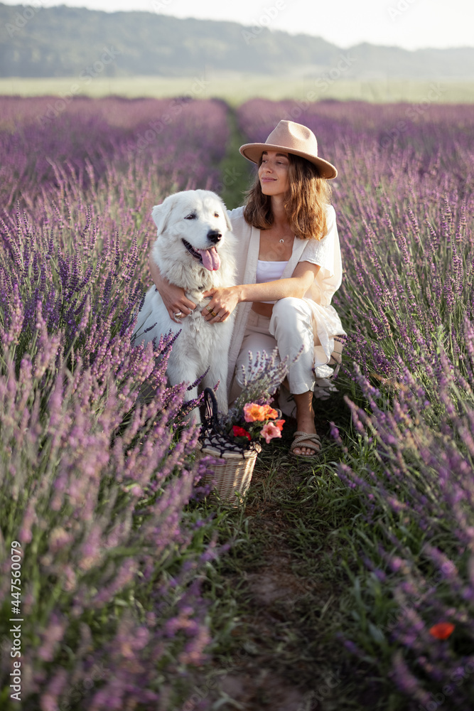 女人在盛开的薰衣草地上拥抱她的大狗，享受大自然的美丽。花时间t