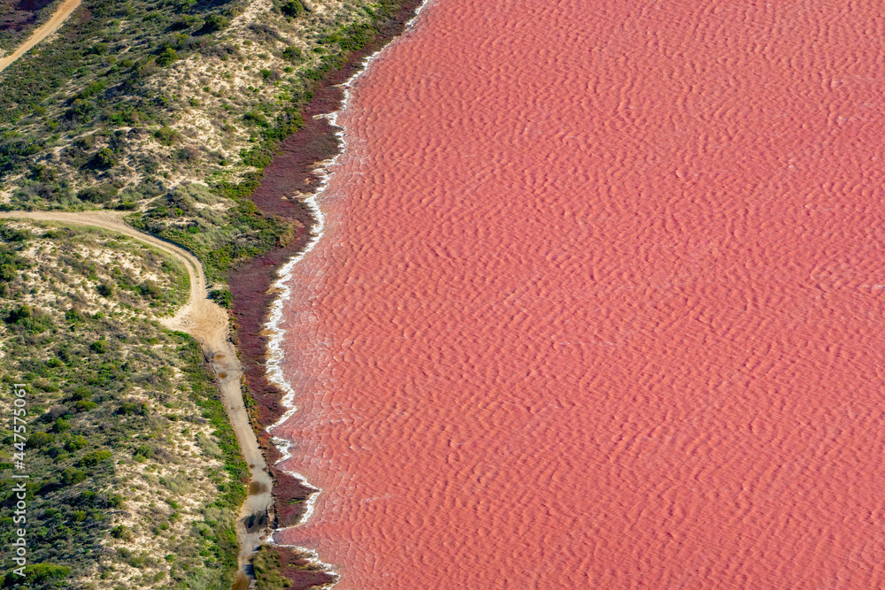 Hutt Lagoon contains the worlds largest microalgae production. These artificial salt ponds are used