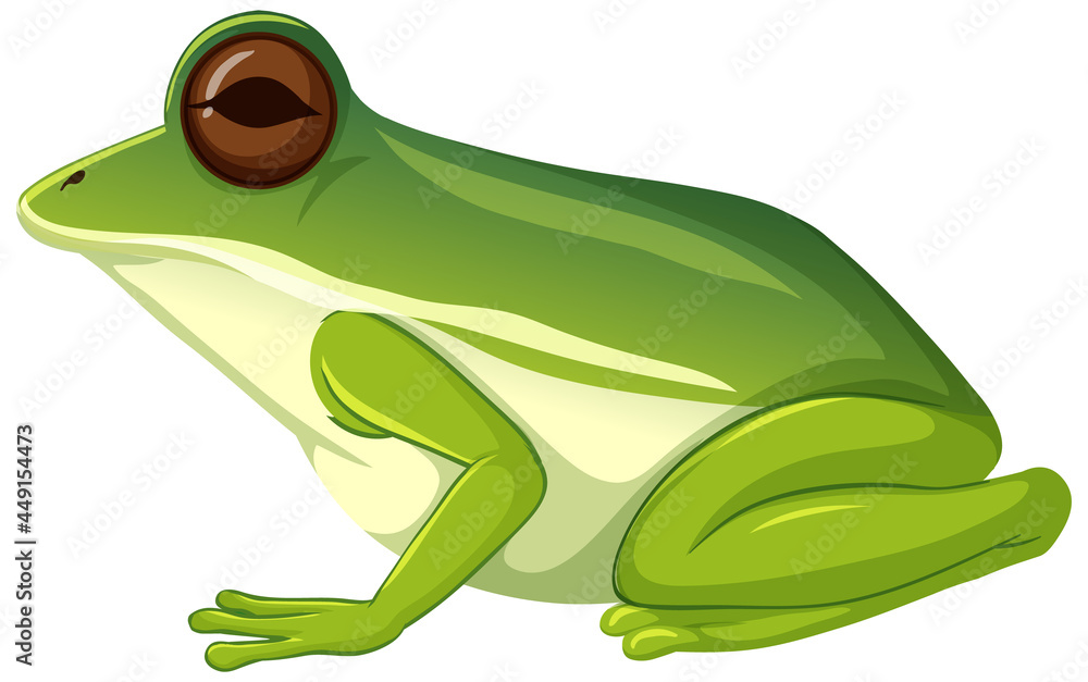 白底绿蛙动物
