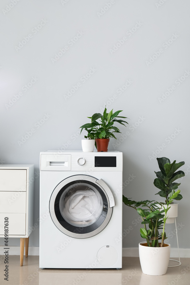 现代洗衣机，靠近浅色墙壁，配有洗衣房和室内植物