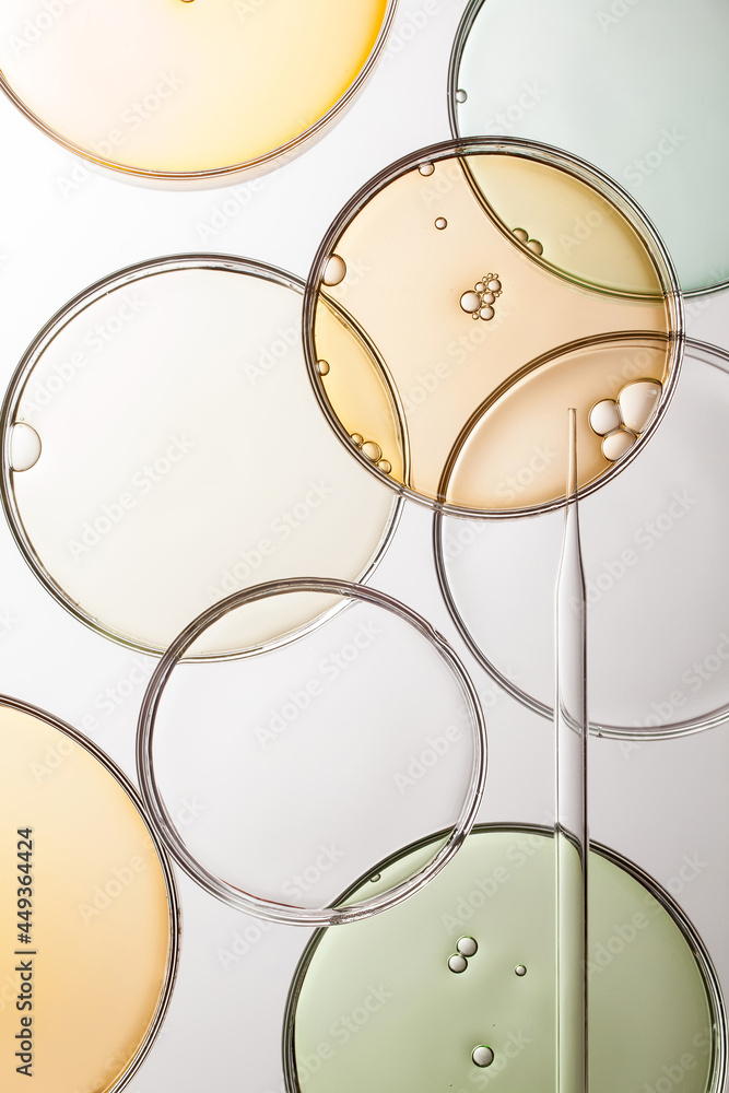 group of petri dish with liquid and bubbles on white background.