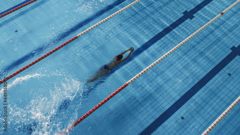 美丽的女游泳运动员在游泳池跳水。专业运动员优雅地跳跃，在Fu游泳