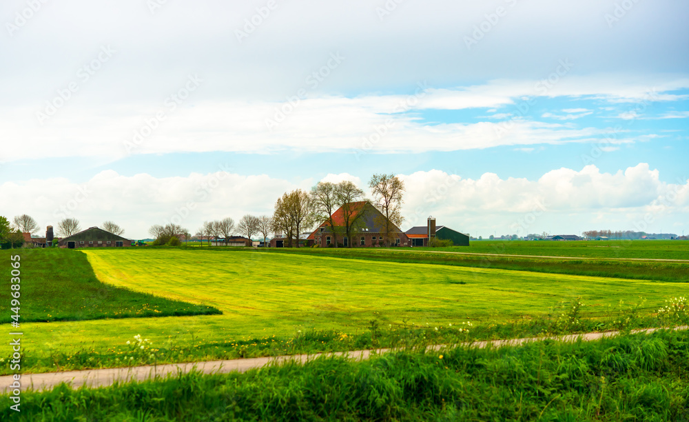荷兰乡村，夏天的绿地和老式农舍。弗里的侧景