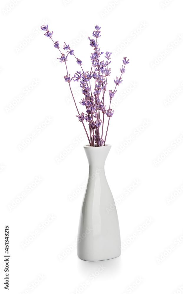 白色背景上有美丽薰衣草花的花瓶