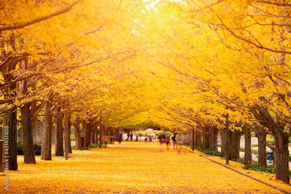 日本东京秋季公园