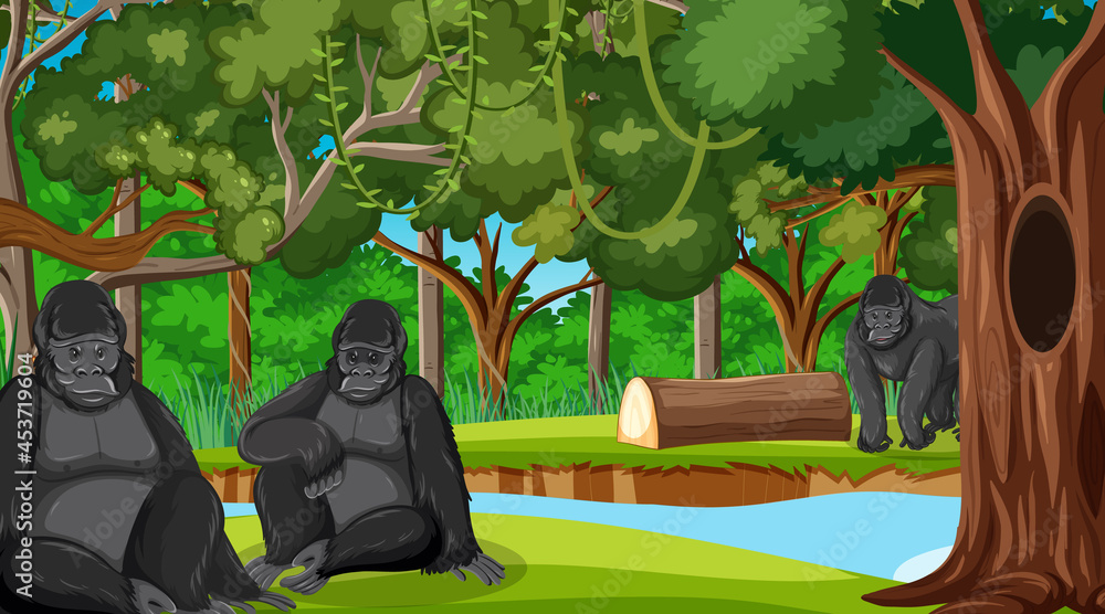 森林或雨林中有许多树木的大猩猩群