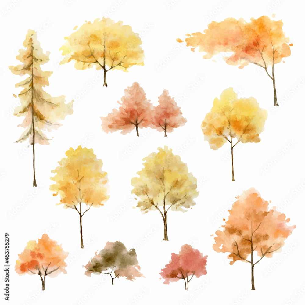 一组水彩矢量秋树，孤立在白色背景上。