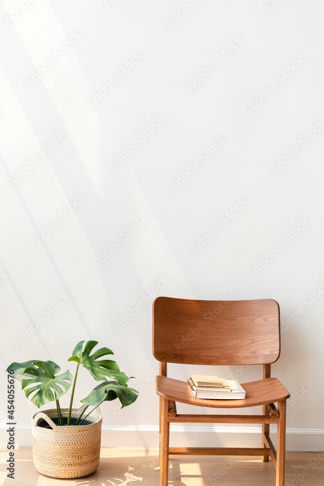梦蝶属植物的经典木椅