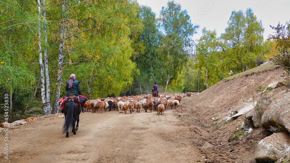 牧羊人骑着他的马，赶着他的羊群沿着森林的道路前行。